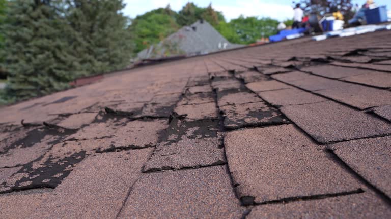 Best Commercial Roofing Services  in Bowmanstown, PA